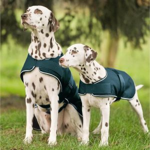 Hundedecke 0g Regendecke